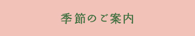 季節のご案内